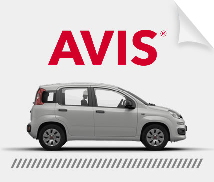 Avis Car Rental Pisa Airport